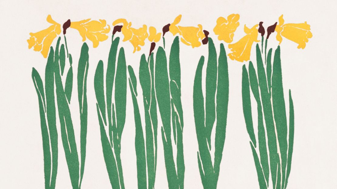 Spring Daffodils  Art